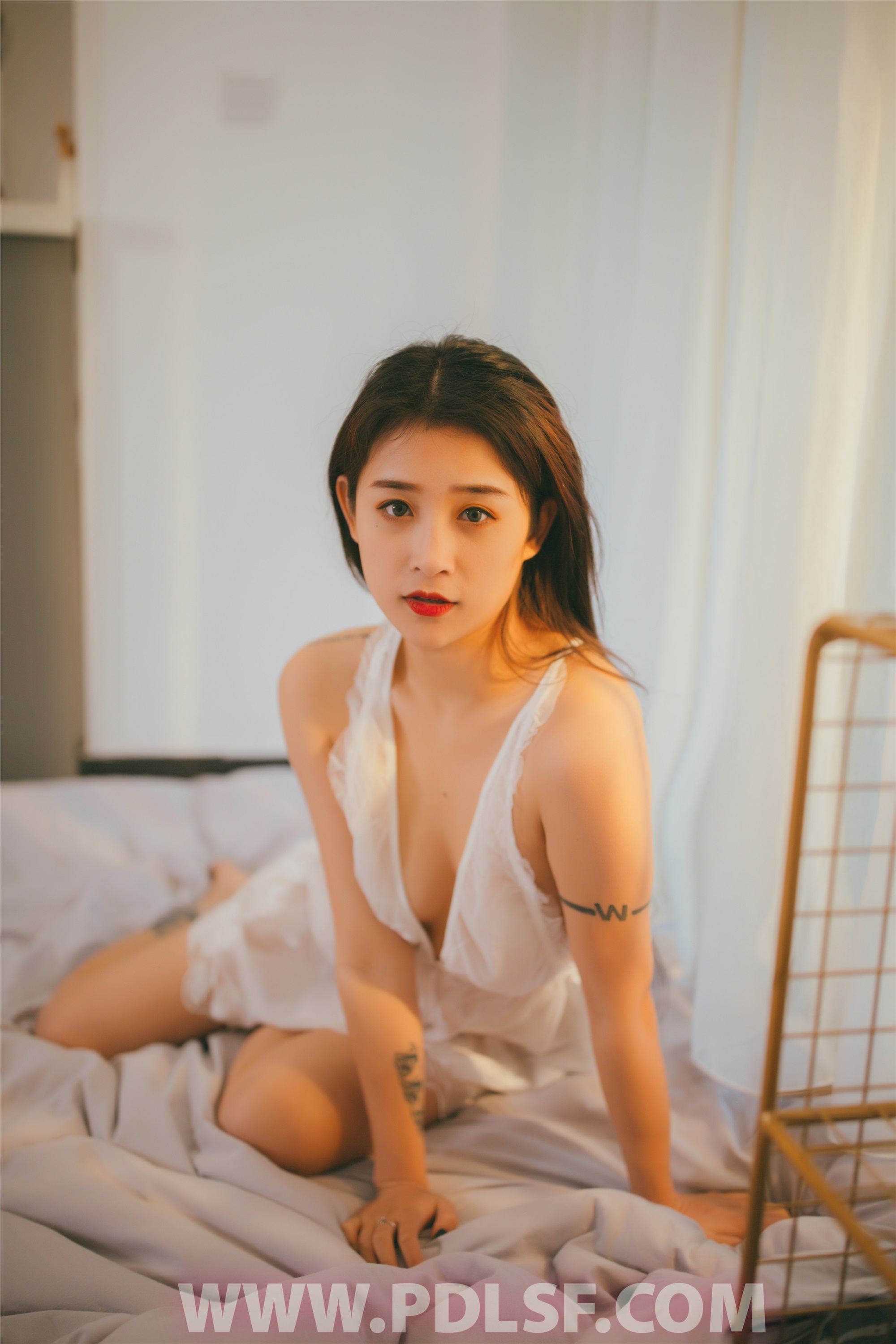 PDL潘多拉 2019.12.26 专辑No.258